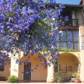 Cà Guala Bed & Breakfast